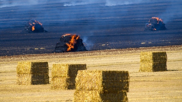 Feldbrand in hedersleben sachsen anhalt aufgrund von trockenheit ist die waldbrandgefahr in vielen deutschen regionen im moment hoch